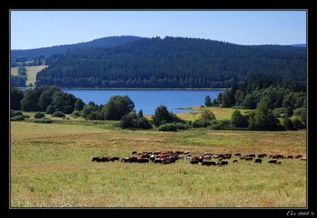 Tjechies Landschap