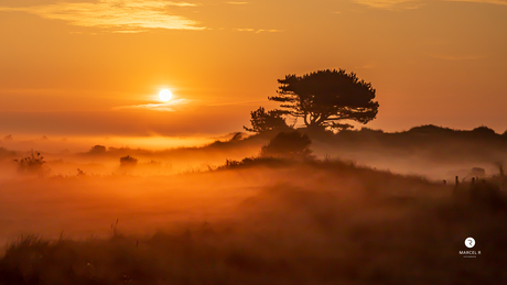 Mistige zonsopkomst Ameland 