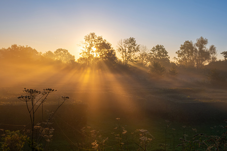 Mist en Zon