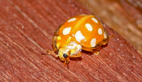 sta ik er goed op ??