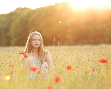 Portretreportage Klaprozenveld