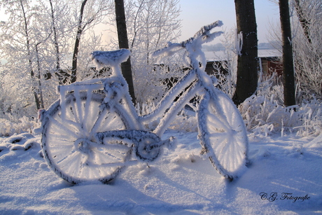 vandaag niet fietsen!