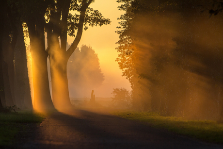 Schilderen met licht