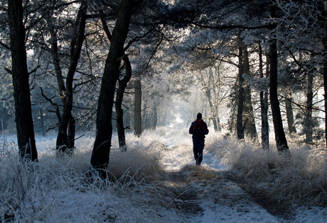 winterwandeling omgeving Oisterwijk