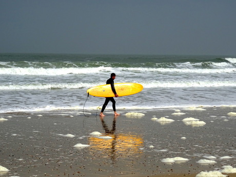 the man and his board