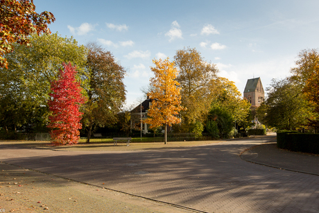 Herfst in al zijn kleuren