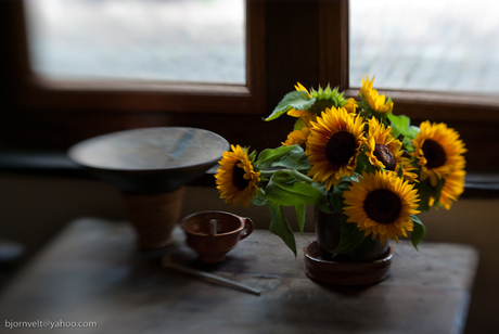 Zonnebloemen bij het raam
