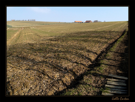 Vlaamse Ardennen