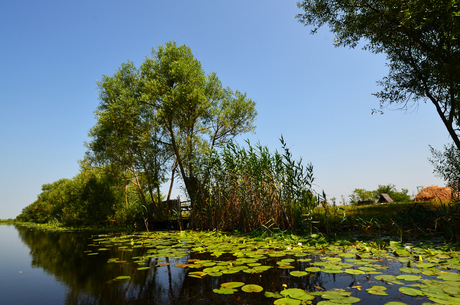 Roemeense Donau 5