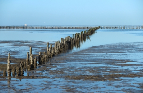 waddenzee bij eb.