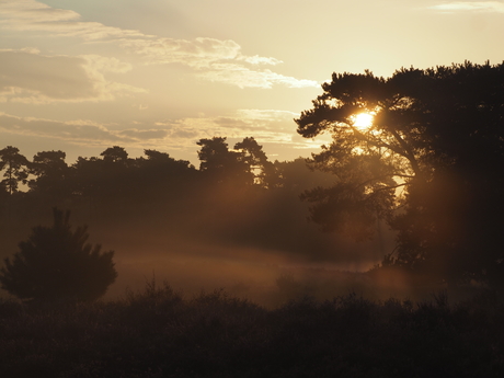 Zonsopkomst