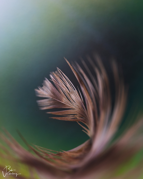 Klein spul, groot plezier 🪶📸