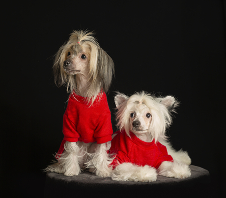 Jilleke & Sofie