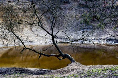 Rivier de Leu