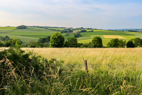 Zuid-Limburg, wat ben je mooi..