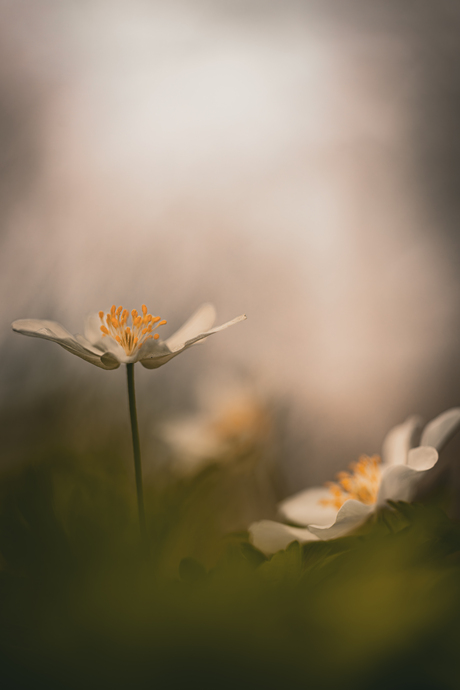 The change of the seasons