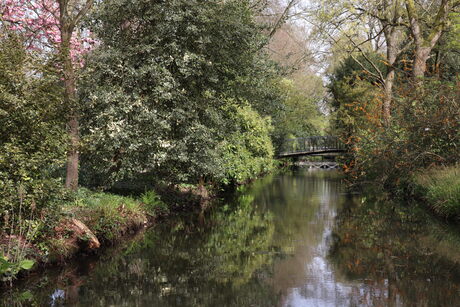 Arboretum in bloei 