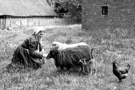 Schäòpkes voeieren