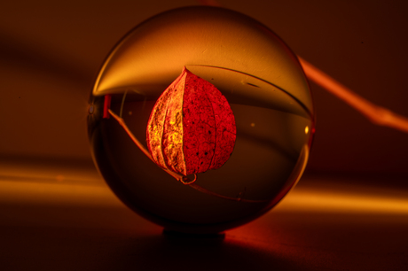 Glazen bol 1 creatieve workshops