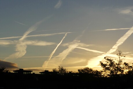 P1290943   Ochtend sfeer  .  Naaldwijk word wakker op  9 okt  2025  