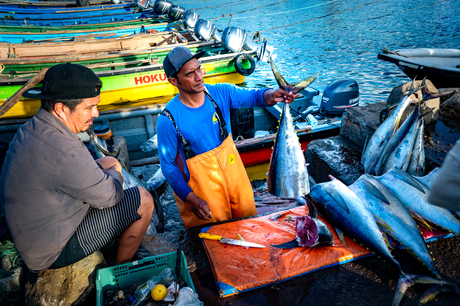 Tuna fishermen