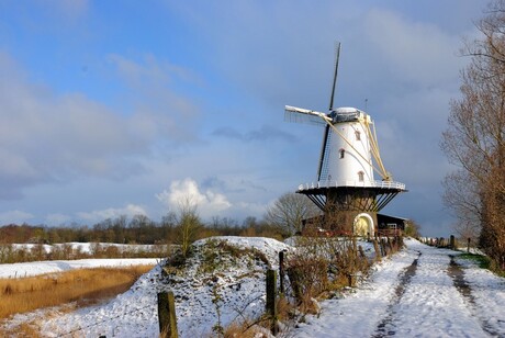 Molen van Veere