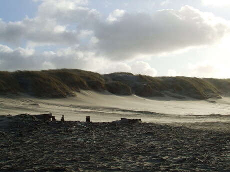 Texel....