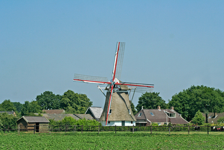 De molen deze keer in kleur...