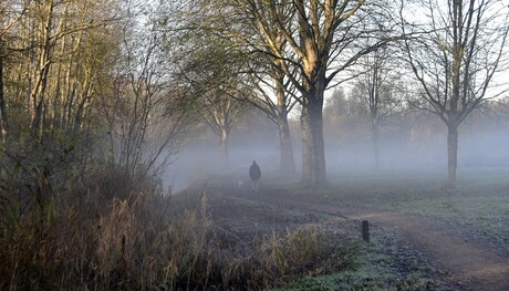 Misty morning 2