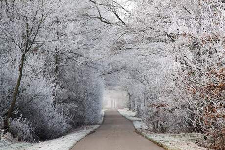 Winter in Voorshoven
