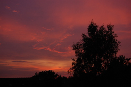 Avondrood