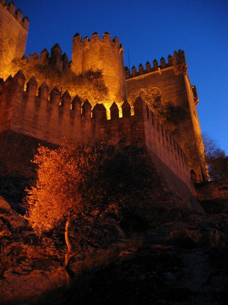 Scary castle in the dark