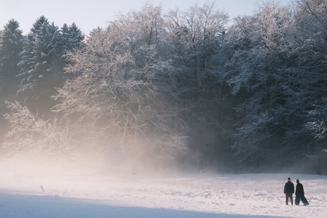 Winterwandeling in de Mist