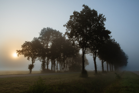 Misty morning