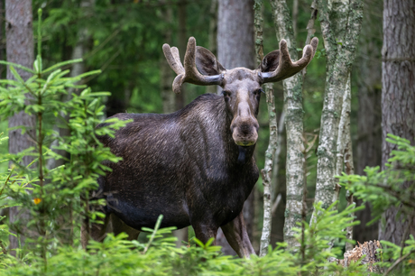 "Until we meet again"