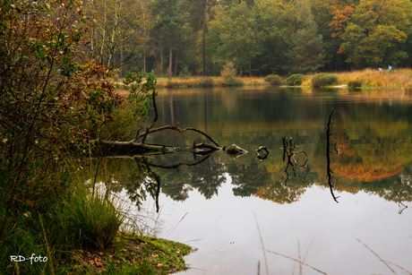 Herfst 