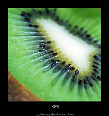 Kiwi