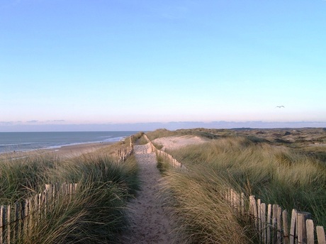 egmond aan zee