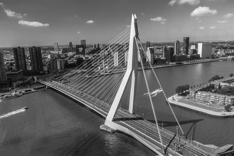 Erasmusbrug