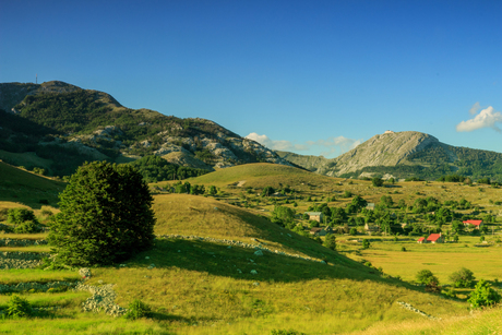 Lovcen Nationaal Park