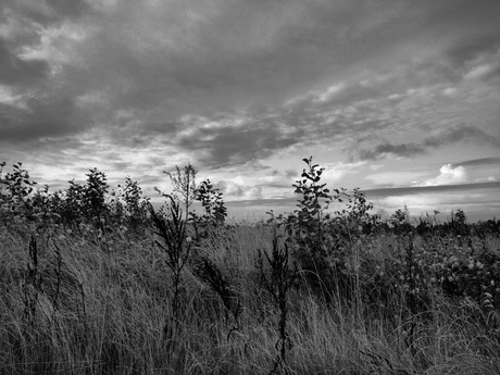 Natuurbegraafplaats Geestmerloo na de regen