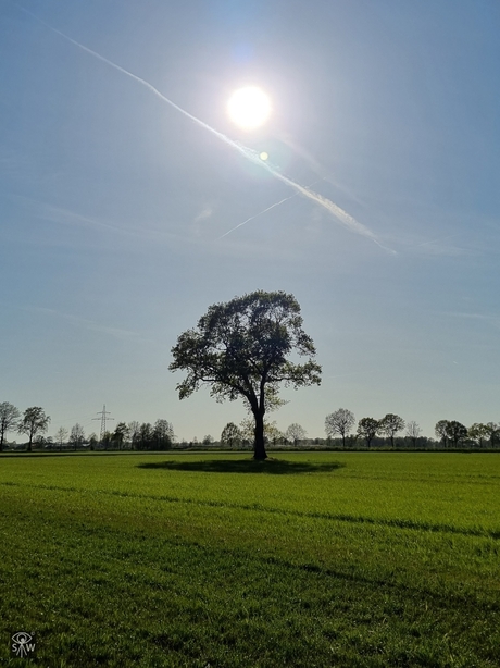 Op hoes an... Moar wa ff stoppen onderweg... Nr. 3.