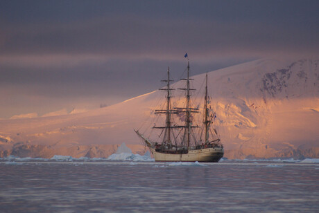 Bark Europa