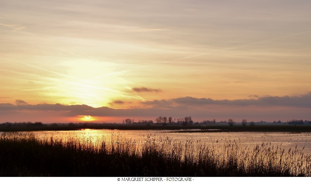 Gode yubka bilan libos tikish