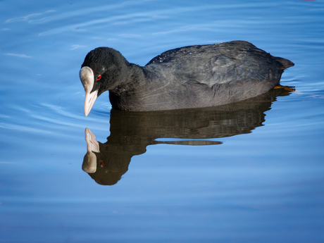 Even in de spiegel kijken