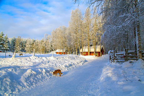 Lapland 3 Joop Lankhaar