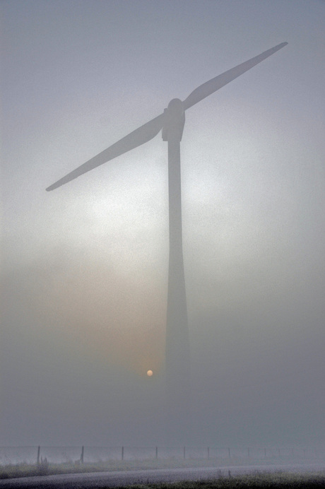 molen in de mist