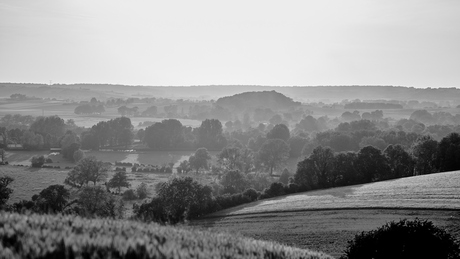 Misty morning..