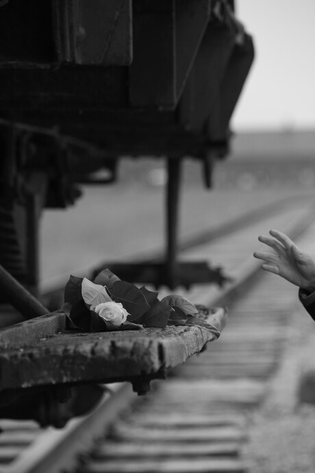 Birkenau