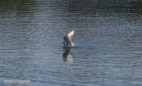 Landing op water